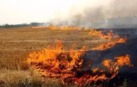 十年后霧霾會(huì)消失嗎？院士：十年內(nèi)難治好霧霾